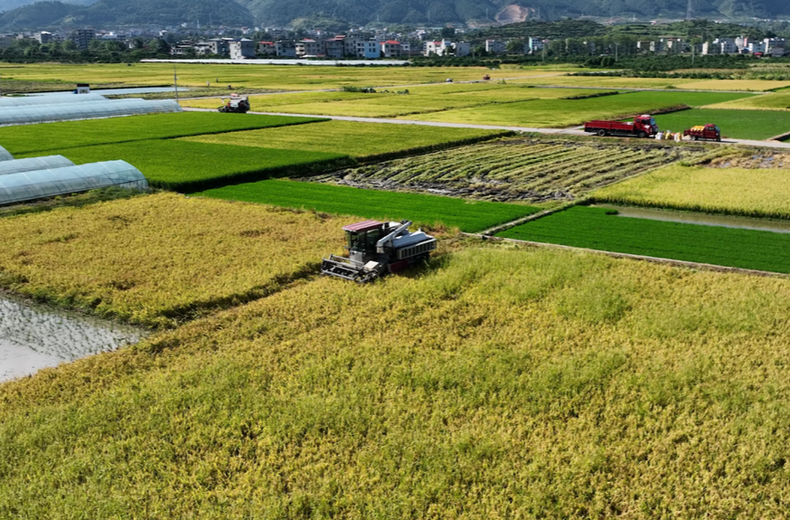 新宁：农机化作业引领早稻丰收