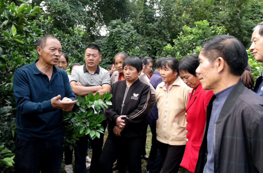 新宁：九九重阳节 浓浓敬老情