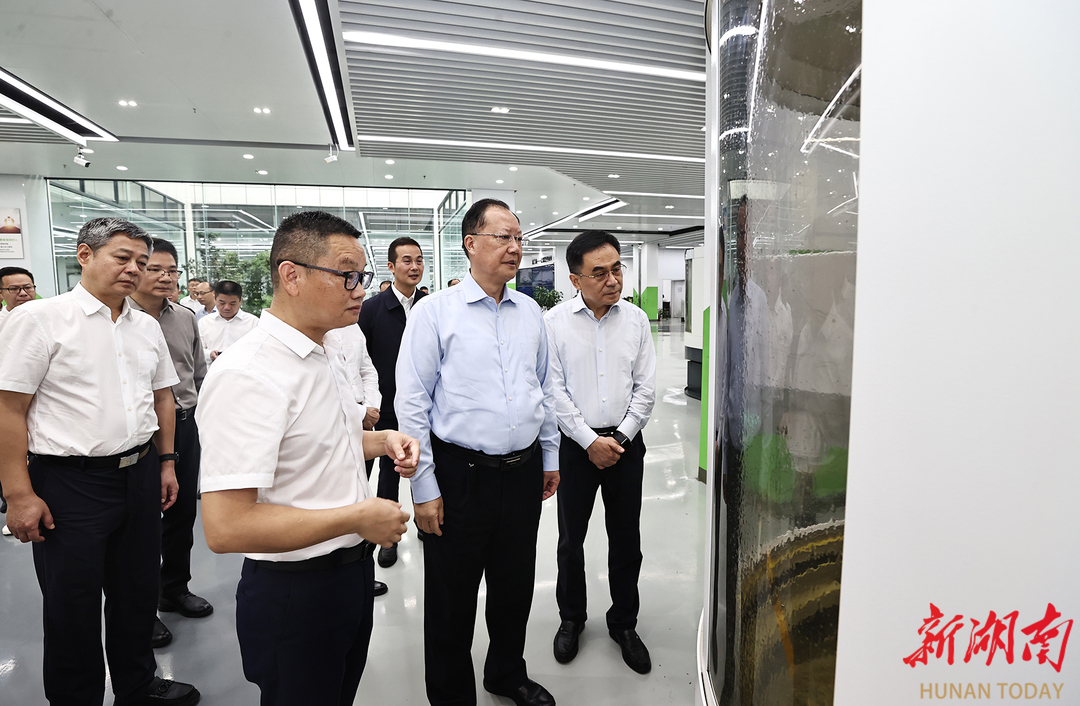 毛伟明在邵阳调研“八大行动”及“两重”“两新”工作