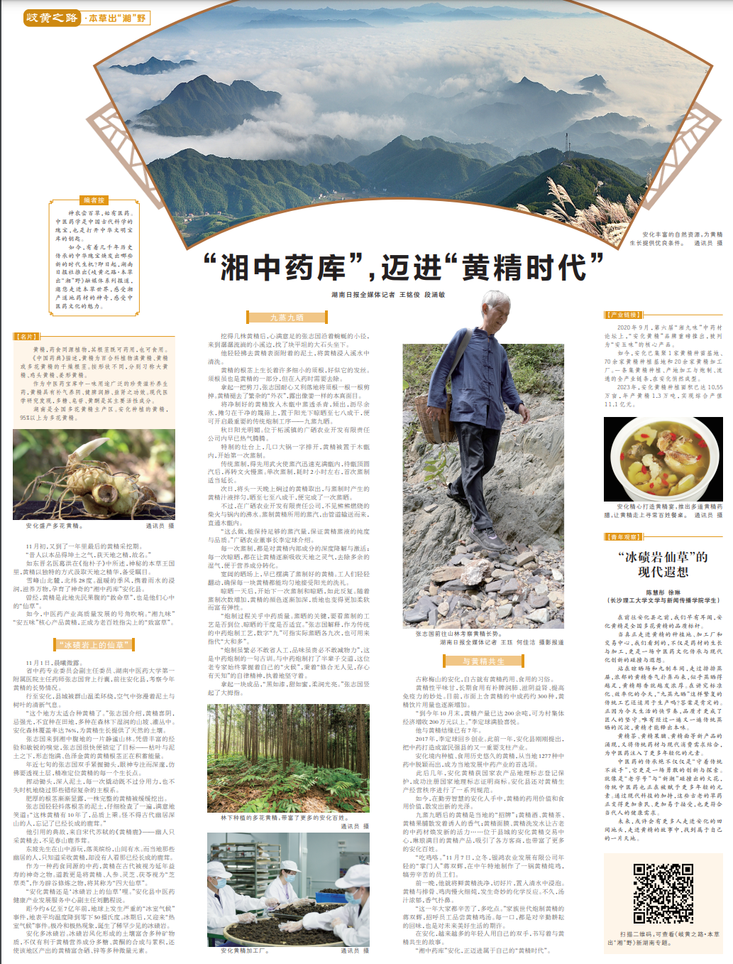岐黄之路•本草出“湘”野①|“湘中药库”，迈进“黄精时代”