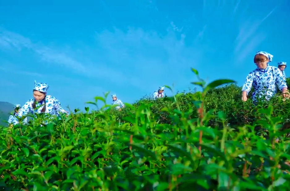 坪丰村:用音乐唱响乡村振兴