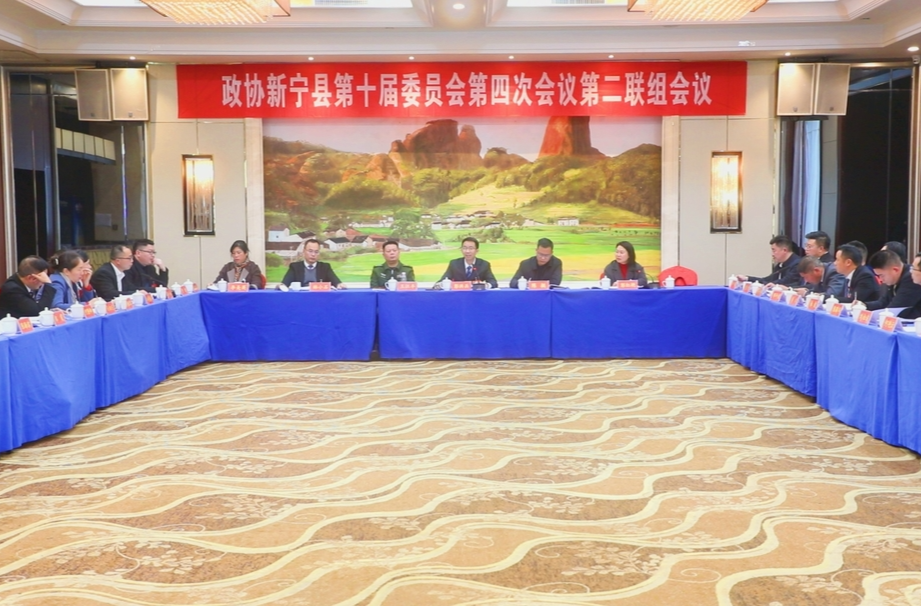 彭洪兵参加政协新宁县第十届委员会第四次会议第二联组会议讨论