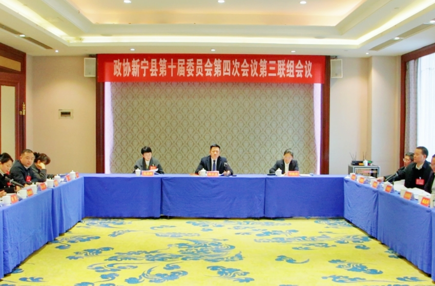 杨云龙参加政协新宁县第十届委员会第四次会议第三联组会议讨论