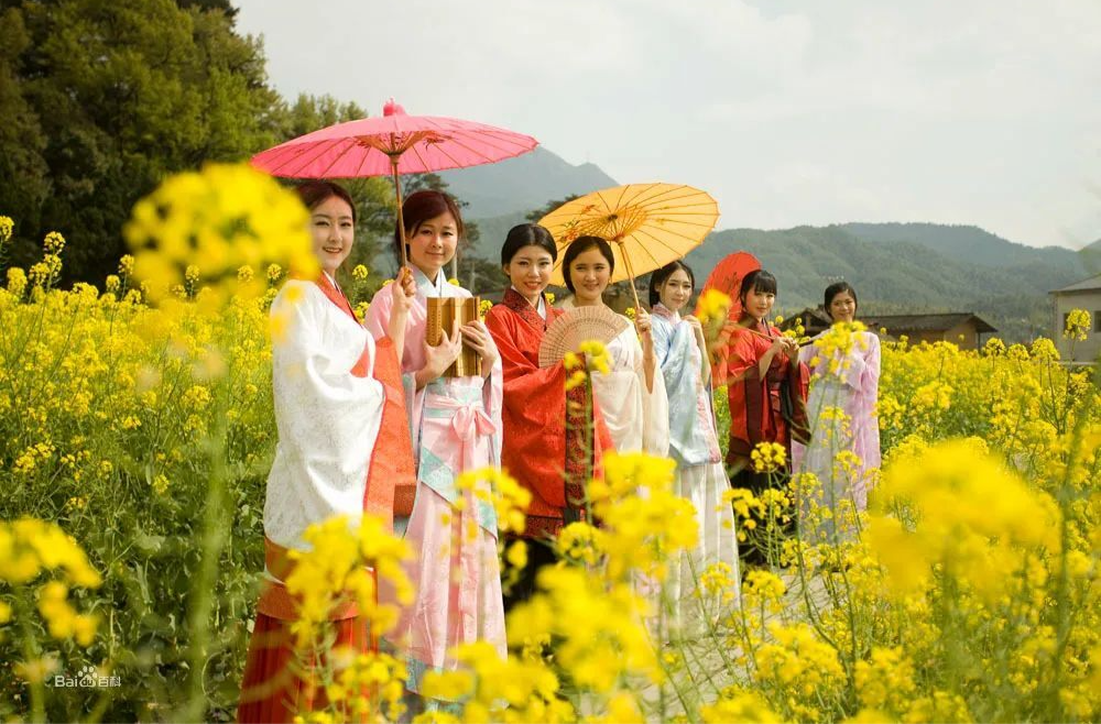 来崀山油菜花海，邂逅一场春日的浪漫~