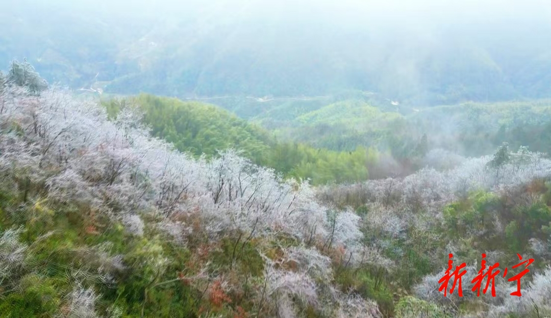 深冲雾凇秀美 湘桂山歌传情