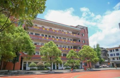 教坛深耕十一载，匠心育人谱新篇 ——记新宁县解放小学教师罗芳