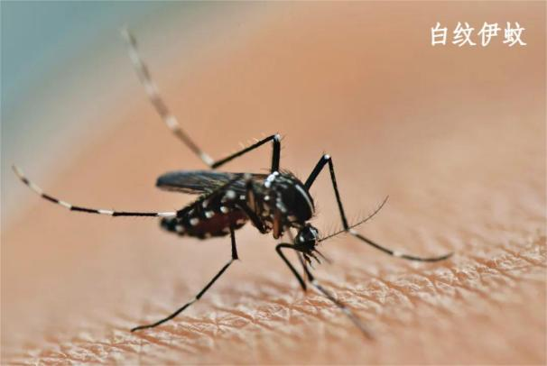 疫情已外溢，多地出现病例，湖南疾控发布紧急提醒