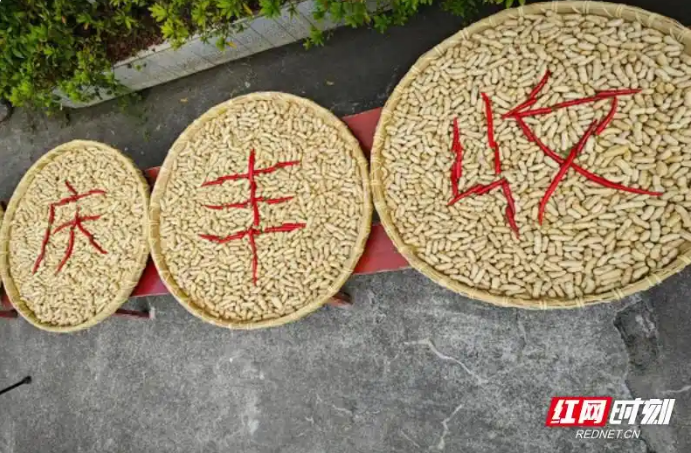 好评中国丨秋分时节稻菽香，丰收节里话丰年