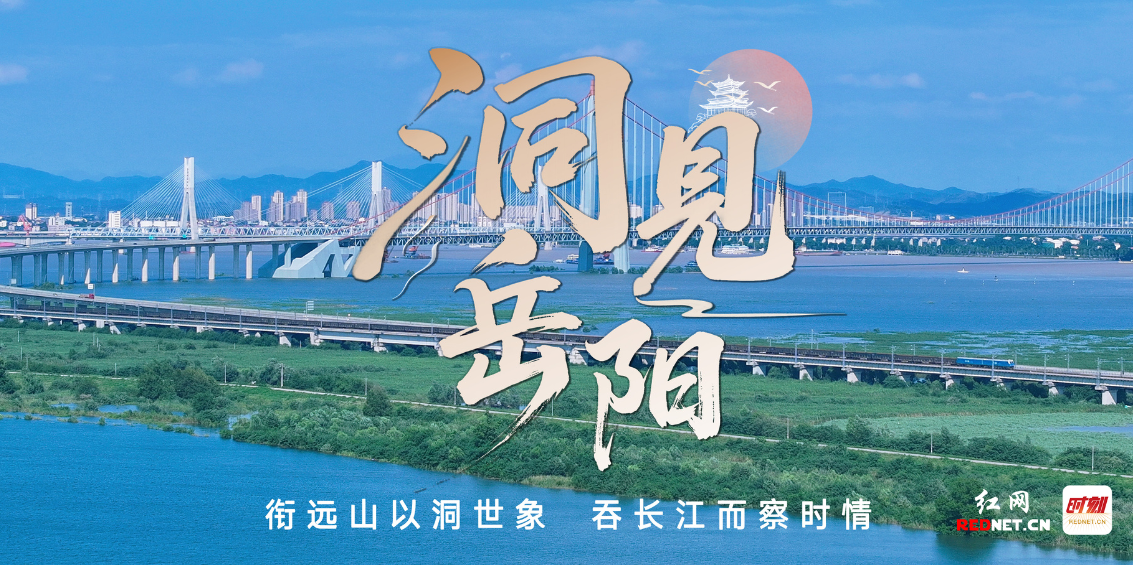 洞见岳阳丨职业教育贴合市场需求就是大道