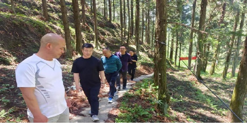 姚美春到舜皇山片区金子岭国有林场（保护站）考察